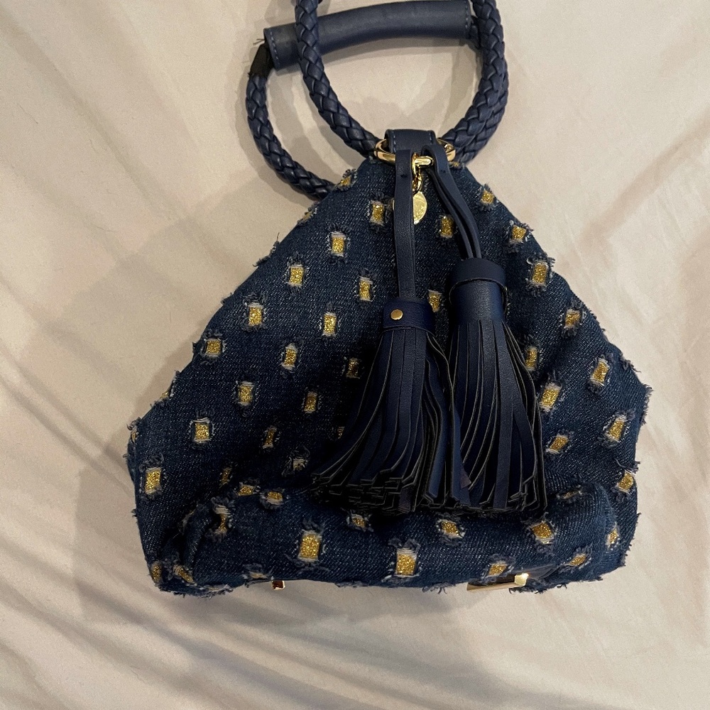 Celine Dion Purse